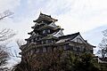 Château d'Okayama entier 8893