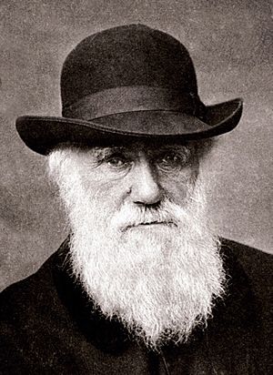 Archivo:Charles Darwin 1880