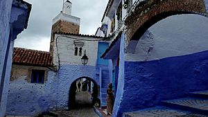 Archivo:Chefchauen, tipically blue-rinsed houses