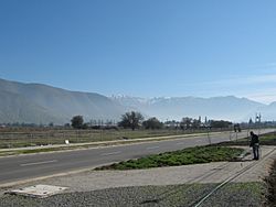 Cordillera de la costa Chile 02.JPG