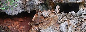 Archivo:Cueva de los Petroglifos