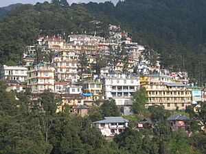 Archivo:Domaro en McLeod Ganj