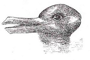 Archivo:Duck-Rabbit illusion
