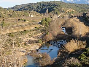 Archivo:El Río Algars en Arenys de Lledó, Teruel