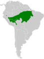 Epinecrophylla leucophthalma map