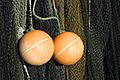 Fisherman's Balls