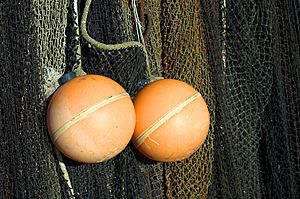 Archivo:Fisherman's Balls