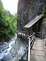 Gorges du durnand3