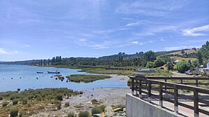 Archivo:Humedal bahía curaco de velez desde costanera
