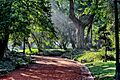 Jardin botanico en Buenos Aires