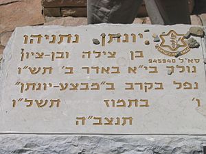 Archivo:Jonathan Netanyahu gravestone