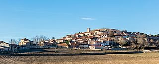 Labros, Guadalajara, España, 2017-01-07, DD 08.jpg