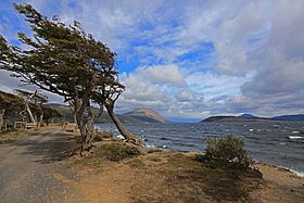 Lago Bianco - panoramio (1).jpg