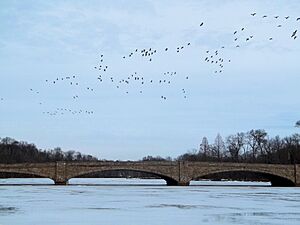 Archivo:Lake Carnegie, Princeton, NJ USA February 13th, 2011 - panoramio (2)