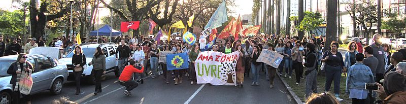 Archivo:Manifestação pela Amazônia, Porto Alegre, 24ago2019