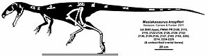 Archivo:Masiakasaurus knopfleri