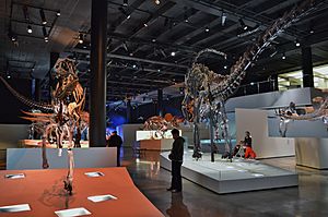Archivo:Morian Hall of Paleontology - Houston Museum of Natural Science 2