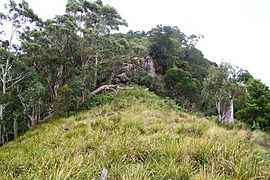 Mount Royal - basalt outcrop 1100 metres asl