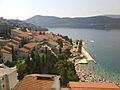 Neum02451