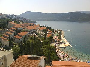 Archivo:Neum02451