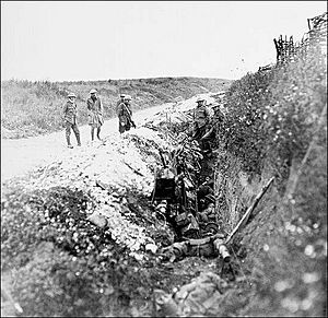Archivo:Newfoundland soldiers 1916