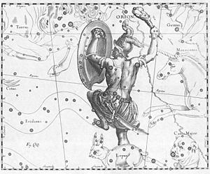 Archivo:Orion constellation Hevelius