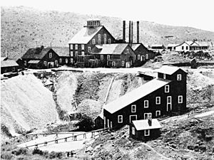 Archivo:PSM V49 D771 Alta mine mill and dump on gold hill