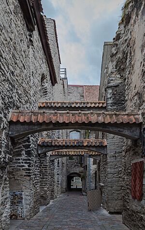 Archivo:Pasaje de Santa Catarina, Tallin, Estonia, 2012-08-05, DD 06