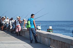 Archivo:Pescadores La Habana