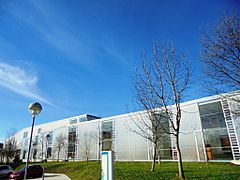 Pontevedra capital Facultad Ciencias de la Educación y del Deporte