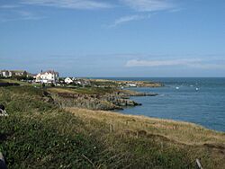 Porth Llechog - geograph.org.uk - 245750.jpg