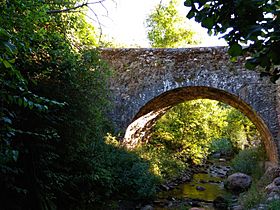 Puente romano de Bouzas Cara Este