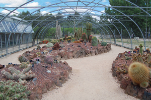 Archivo:Real Jardín Botánico Juan Carlos I (RPS 07-06-2014) invernadero de cactus