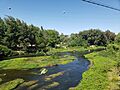 Rio Claro - Salsipuedes 1
