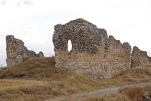 Archivo:Ruinas del convento de Santa María de Oreja