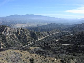 SR33-Pinos.JPG