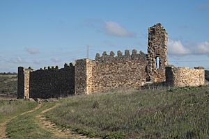 Archivo:San Cebrián de Castro Castrotorafe Castillo 038