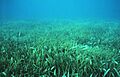 Sanc0209 - Flickr - NOAA Photo Library