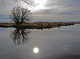 Taieri River - Otago.jpg