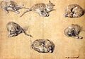 Thomas Gainsborough - Six studies of a cat - WGA08409
