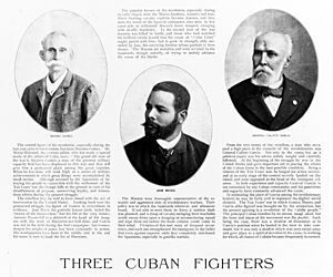 Archivo:Three Cuban fighters of the Spanish War - NH 147