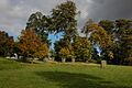 Trees in the Great Park, Blenheim - geograph.org.uk - 1015799