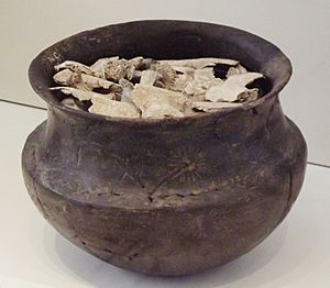 Archivo:Vasija funeraria vettona de la Necrópolis de Trasguija (Museo Arqueológico Nacional, Madrid)