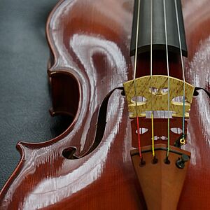 Archivo:Viola Bridge