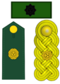 7) General de Brigada EJ