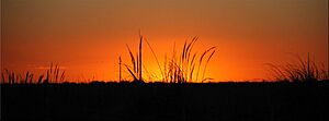 Archivo:Atardecer en Campos del Tuyú