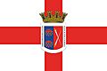 Bandera oficializada en 2021.jpg