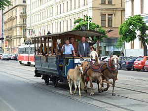 Archivo:Brno, Brno Město, historická koňská tramvaj