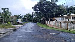 Carretera PR-7786, Cidra, Puerto Rico.jpg