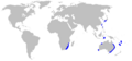 Centrophorus moluccensis distmap